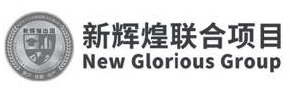 新辉煌联合项目